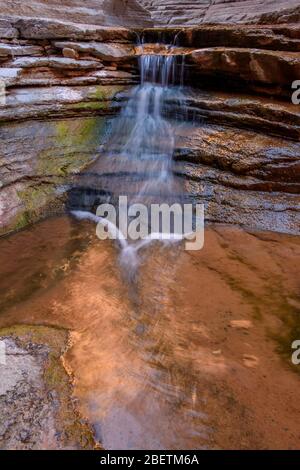 Crêtes de calcaire Cambrian Muav polies au ruisseau dans le Canyon de Matkatamiba, parc national du Grand Canyon, Arizona, États-Unis Banque D'Images