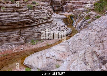 Crêtes de calcaire Cambrian Muav polies au ruisseau dans le Canyon de Matkatamiba, parc national du Grand Canyon, Arizona, États-Unis Banque D'Images