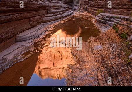 Crêtes de calcaire Cambrian Muav polies au ruisseau dans le Canyon de Matkatamiba, parc national du Grand Canyon, Arizona, États-Unis Banque D'Images