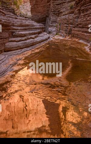 Crêtes de calcaire Cambrian Muav polies au ruisseau dans le Canyon de Matkatamiba, parc national du Grand Canyon, Arizona, États-Unis Banque D'Images