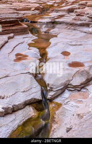 Crêtes de calcaire Cambrian Muav polies au ruisseau dans le Canyon de Matkatamiba, parc national du Grand Canyon, Arizona, États-Unis Banque D'Images