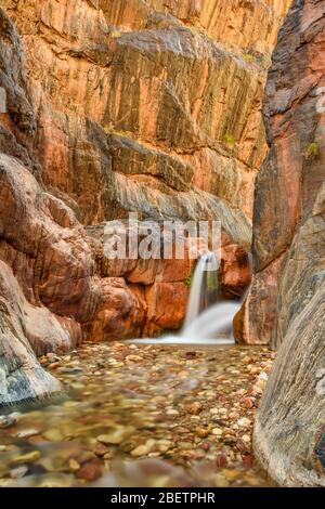 Cascade du canyon de Clear Creek (point milliaire 85), parc national du Grand Canyon, Arizona, États-Unis Banque D'Images
