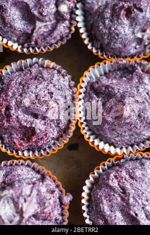 Sans gluten préparer les bleuets muffin. Les moules à pâtisserie en pâte lilas Banque D'Images