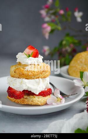 Gâteau court aux fraises maison avec garniture de crème farcie, point de mire sélectif Banque D'Images