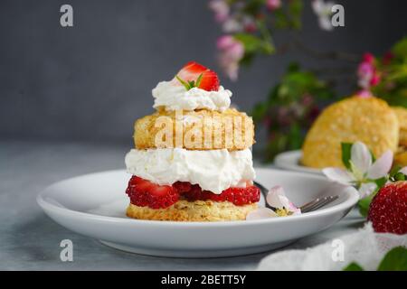 Gâteau court aux fraises maison avec garniture de crème farcie, point de mire sélectif Banque D'Images