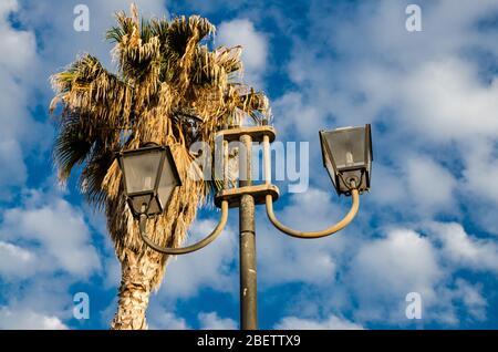 Haut de palmiers de palma et lampes de rue devant le ciel bleu et les nuages blancs, Tropea ville, Vibo Valentia, Calabre, Italie du Sud Banque D'Images