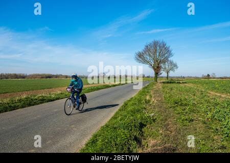 Cycliste solitaire, vélo seul sur une route de campagne près de Eye, Suffolk, Royaume-Uni. Banque D'Images