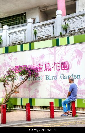 Hong Kong, Hong Kong SAR - 10 juillet 2017: Un homme âgé regarde sa paruline à Yuen po Street Bird Garden à Kowloon, Hong Kong. l'ap public Banque D'Images