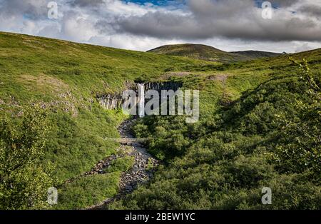 Cascade de Svartifoss entourée de colonnes de basalte noires en Islande Banque D'Images