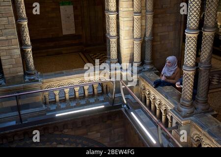 Explorez le Musée d'Histoire naturelle de Londres Banque D'Images