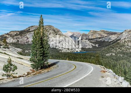 Tioga Pass Road par Olmsted Point, Yosemite National Park, California, USA. Banque D'Images