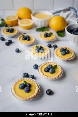 Mini tartes au citron recouvertes de bleuets sur un comptoir en marbre. Banque D'Images