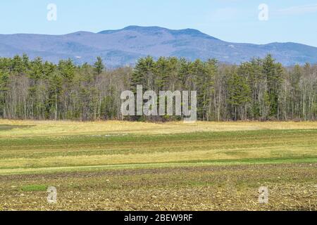 Collines et vallées des montagnes d'Ossipee. Tiré de Molton Farm à Meredith NH C'est le printemps dans le nord du New Hampshire. Champs, arbres, montagnes. Banque D'Images