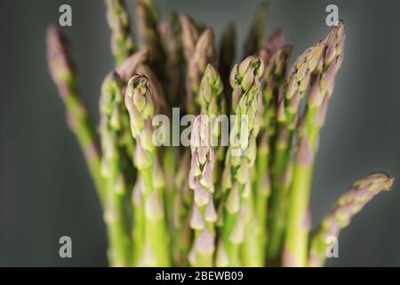 Vue rapprochée des épis d'asperges. Vue sélective avec une faible profondeur de champ. Banque D'Images