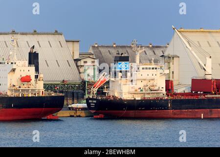 Cargo, Puerto Quetzal, Escuintla, Guatemala, Amérique centrale Banque D'Images