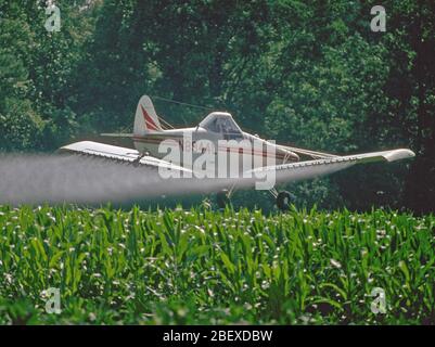 6 mai 1996 - L'avion pulvérisateur de pulvériser un champ de maïs Banque D'Images