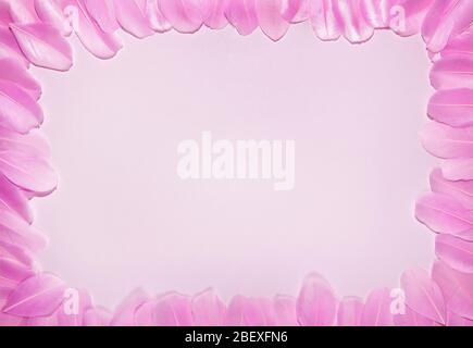 Carte féminine Dainty avec bordure en plume rose autour d'un espace central pour un message d'accueil ou un texte Banque D'Images