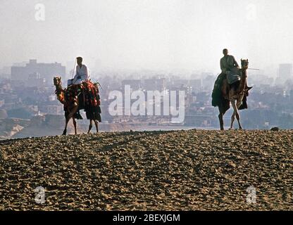 Deux chameaux avec leurs gestionnaires sont vus sur une colline avec Le Caire (Egypte) en arrière-plan. Légende originale membres date exacte shot inconnu (1990) Métadonnées cependant par Banque D'Images