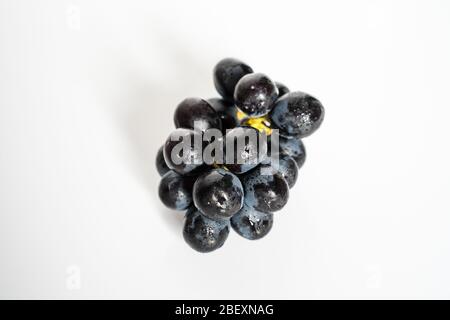 Un bouquet de raisins noirs sur fond blanc Uni Banque D'Images