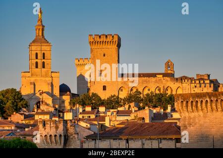 Palais des Papes aka Palais Papal à Avignon, France, Europe Banque D'Images