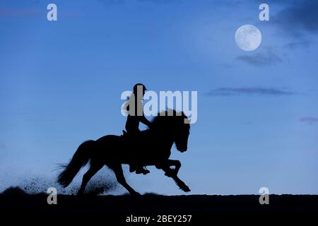 Cheval islandais. Cavalier sur la galopante de gelding noir, silhouetted contre la pleine lune. Islande Banque D'Images