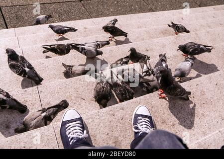 Nourrir les pigeons debout sur les places en étant assis et avoir le reste. Banque D'Images