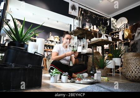 Wiesbaden, Allemagne. 16 avril 2020. Stephanie Grabski, employée du magasin pour les accessoires et cadeaux à la maison 'dryneN' dans le centre ville de Wiesbaden, est occupée avec les préparatifs pour la réouverture. Hesse assouplie les règles strictes à partir du 20 avril 2020. Les magasins ayant une zone de vente de 800 mètres carrés qui ont été auparavant fermés en raison de la propagation du virus corona seront alors autorisés à rouvrir. Dans les magasins, les concepts de protection avec des règles de distance et d'hygiène s'appliqueront également. Crédit: Arne Dedert/dpa/Alay Live News Banque D'Images