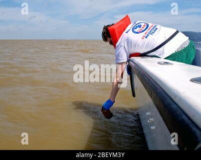 EPA contracte en prenant un échantillon d'eau dans le golfe du Mexique après le déversement de pétrole de BP 2010 Banque D'Images