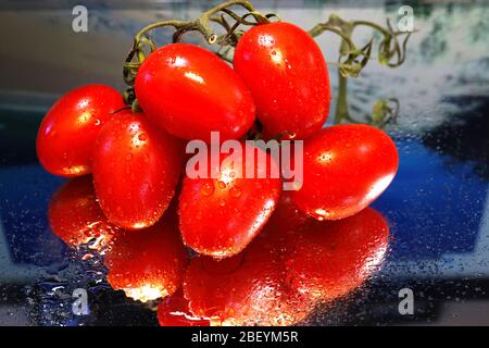 Les tomates rouges mûres sont tournées dans des couleurs vives en gros plan et nettes. Avec une réflexion, avec et sans gouttelettes d'eau Banque D'Images