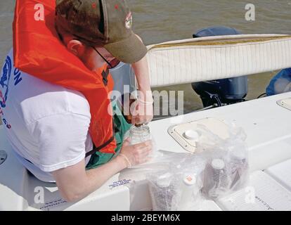 EPA contracte en prenant un échantillon d'eau dans le golfe du Mexique après le déversement de pétrole de BP 2010 Banque D'Images