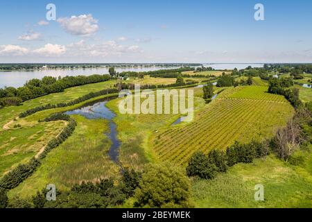 Vue aérienne des terres agricoles rurales le long du fleuve Saint-Laurent Banque D'Images