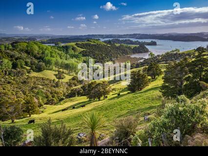 Baie de Kawau, vue sur les collines près de la ville de Snells Beach, péninsule de Mahurangi, région d'Auckland, Île du Nord, Nouvelle-Zélande Banque D'Images