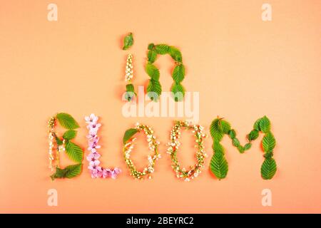 En fleur est écrit à partir de feuilles de printemps et de fleurs. Banque D'Images