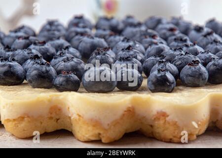 Gâteau au fromage fait maison décorée avec des bleuets. Close up Banque D'Images