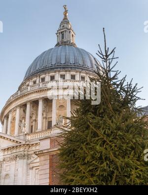 Vue sur le dôme et le toit de la cathédrale St Paul, avec sapin de Noël devant, détail, Londres, Royaume-Uni Banque D'Images