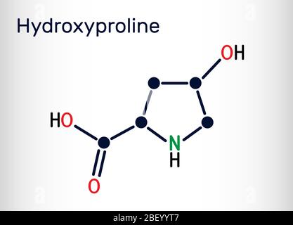 Hydroxyproline , Hyp, molécule de C5H9NO3. Il s'agit d'un acide aminé protéinogène commun et d'un composant majeur de la protéine collagène. Produit chimique structurel. Illustration de Vecteur