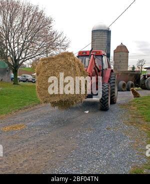 À l'aide d'agriculteurs tracteur pour déplacer une balle ronde Banque D'Images