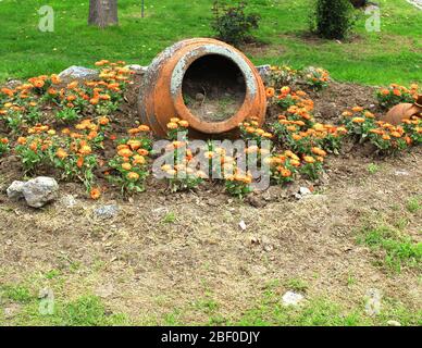 Bol à oreilles orange. Il y a des fleurs autour de lui et photographié dans le parc. Gros plan. Banque D'Images