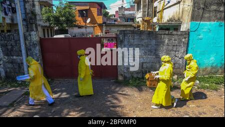 Colombo, Sri Lanka. 31 mars 2020. Les agents de santé qui collectent des échantillons d'écouvillon des suspects durant la pandémie de coronavirus.les autorités Sri-lankaises affirment avoir largement réussi à empêcher la propagation de la communauté par une identification et une isolation appropriées des personnes qui sont entrées en contact avec les patients du COVID-19. Crédit: Harshana Johanas/SOPA Images/ZUMA Wire/Alay Live News Banque D'Images