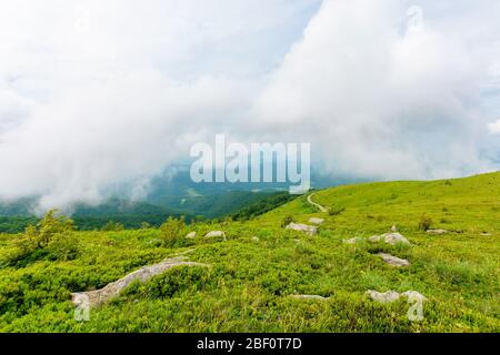 prés alpins de mnt. runa, ukraine. route sinueuse au loin. beau paysage naturel des montagnes de carpates en été. temps nuageux Banque D'Images