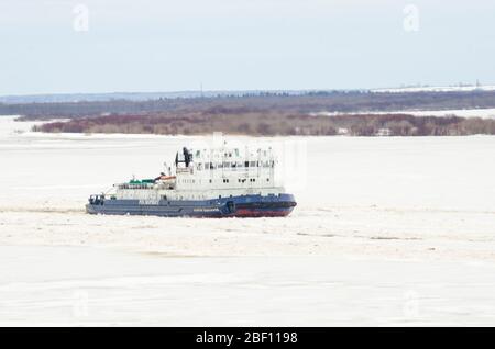 Avril 2020 - Tsenovets. Le travail des brise-glace pendant la dérive de glace. Inondation printanière en Russie. Russie, région d'Arkhangelsk Banque D'Images