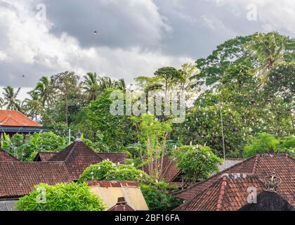 Vue horizontale sur les toits du village de Petulu Heron à Bali, Indonésie. Banque D'Images