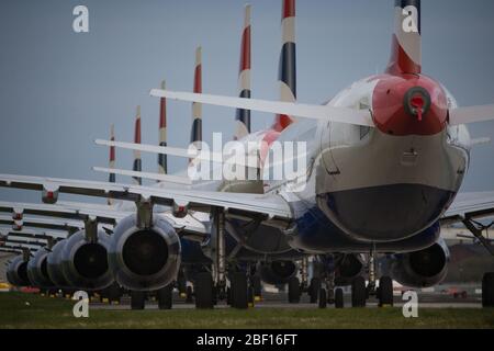 Glasgow, Royaume-Uni. 16 avril 2020. Photo : une collection de quatorze jets British Airways (Airbus de courte à moyenne portée) allant de l'A319, l'A320 et l'A321 se tiennent sur le tarmac de l'aéroport international de Glasgow. L'industrie aéronautique mondiale connaît un ralentissement sans précédent des affaires, la plupart des compagnies aériennes ayant affecté un nombre élevé de personnel en raison de pressions financières considérables causées par la pandémie de Coronavirus (COVID-19) en cours. Crédit : Colin Fisher/Alay Live News Banque D'Images