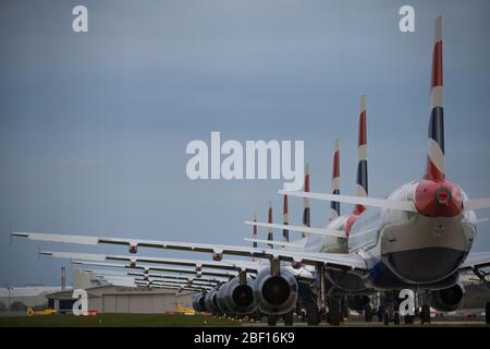 Glasgow, Royaume-Uni. 16 avril 2020. Photo : une collection de quatorze jets British Airways (Airbus de courte à moyenne portée) allant de l'A319, l'A320 et l'A321 se tiennent sur le tarmac de l'aéroport international de Glasgow. L'industrie aéronautique mondiale connaît un ralentissement sans précédent des affaires, la plupart des compagnies aériennes ayant affecté un nombre élevé de personnel en raison de pressions financières considérables causées par la pandémie de Coronavirus (COVID-19) en cours. Crédit : Colin Fisher/Alay Live News Banque D'Images