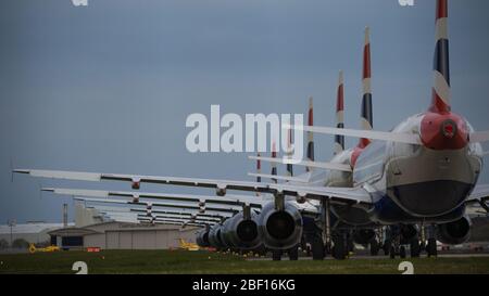 Glasgow, Royaume-Uni. 16 avril 2020. Photo : une collection de quatorze jets British Airways (Airbus de courte à moyenne portée) allant de l'A319, l'A320 et l'A321 se tiennent sur le tarmac de l'aéroport international de Glasgow. L'industrie aéronautique mondiale connaît un ralentissement sans précédent des affaires, la plupart des compagnies aériennes ayant affecté un nombre élevé de personnel en raison de pressions financières considérables causées par la pandémie de Coronavirus (COVID-19) en cours. Crédit : Colin Fisher/Alay Live News Banque D'Images