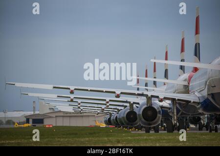 Glasgow, Royaume-Uni. 16 avril 2020. Photo : une collection de quatorze jets British Airways (Airbus de courte à moyenne portée) allant de l'A319, l'A320 et l'A321 se tiennent sur le tarmac de l'aéroport international de Glasgow. L'industrie aéronautique mondiale connaît un ralentissement sans précédent des affaires, la plupart des compagnies aériennes ayant affecté un nombre élevé de personnel en raison de pressions financières considérables causées par la pandémie de Coronavirus (COVID-19) en cours. Crédit : Colin Fisher/Alay Live News Banque D'Images