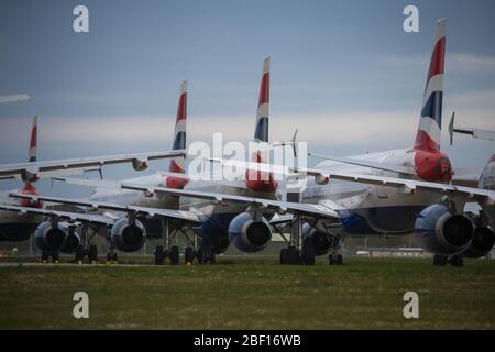 Glasgow, Royaume-Uni. 16 avril 2020. Photo : une collection de quatorze jets British Airways (Airbus de courte à moyenne portée) allant de l'A319, l'A320 et l'A321 se tiennent sur le tarmac de l'aéroport international de Glasgow. L'industrie aéronautique mondiale connaît un ralentissement sans précédent des affaires, la plupart des compagnies aériennes ayant affecté un nombre élevé de personnel en raison de pressions financières considérables causées par la pandémie de Coronavirus (COVID-19) en cours. Crédit : Colin Fisher/Alay Live News Banque D'Images