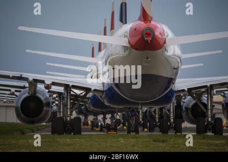 Glasgow, Royaume-Uni. 16 avril 2020. Photo : une collection de quatorze jets British Airways (Airbus de courte à moyenne portée) allant de l'A319, l'A320 et l'A321 se tiennent sur le tarmac de l'aéroport international de Glasgow. L'industrie aéronautique mondiale connaît un ralentissement sans précédent des affaires, la plupart des compagnies aériennes ayant affecté un nombre élevé de personnel en raison de pressions financières considérables causées par la pandémie de Coronavirus (COVID-19) en cours. Crédit : Colin Fisher/Alay Live News Banque D'Images