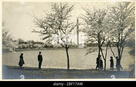 Les cerisiers en fleurs autour du bassin de Tidal avec le Washington Monument en arrière-plan. Smithsonian institution Archives, Record Unit 7355, Martin A. Gruber Photothèque, image No SIA2010-2096Smithsonian institution Archives, Capital Gallery, Suite 3000, MRC 507; 600 Maryland Avenue, SW; Washington, DC 20024-2520 Banque D'Images