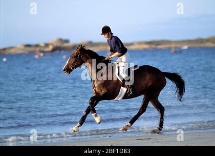 Guernesey. Jeune femme cheval sur la plage. Banque D'Images